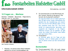 Von Brennholzkunden, Borkenkäfern und Regenwetter...