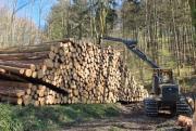 Staple selber Holz mit dem Forwarder - für Gross und Klein!