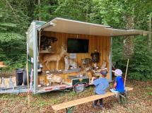 Wald Wild Wissen-Wagen