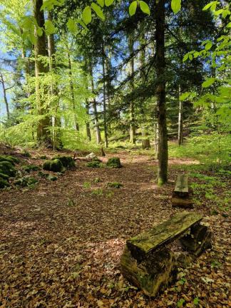 Verweilen im Ruhewald