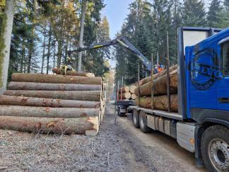 Rundholz-Transport mit dem LKW