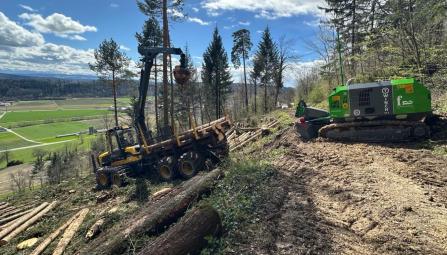 T-Winch mit Forwarder