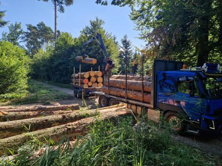 LKW mit Anhänger beim Rundholz-Transport